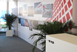 2010 China Cup International Regatta Sponsorship